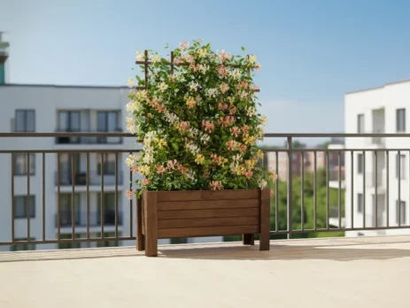 Dikey ahşap saksı içinde büyüyen sarılıcı bitkiler ve destek kafesi.